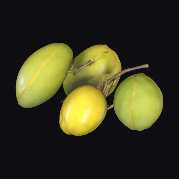 Kakadu Plum Fruit Bunch