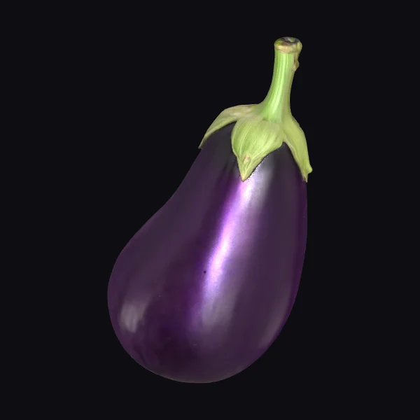 Purple Eggplant Fruit
