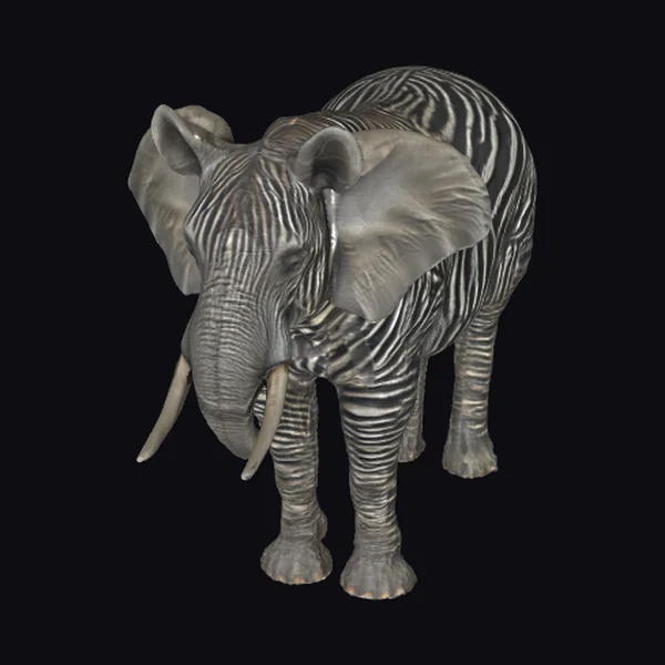 Zebra Elefant Hybrid