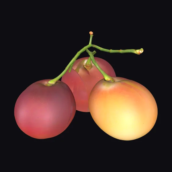 Cluster of Three Grapes