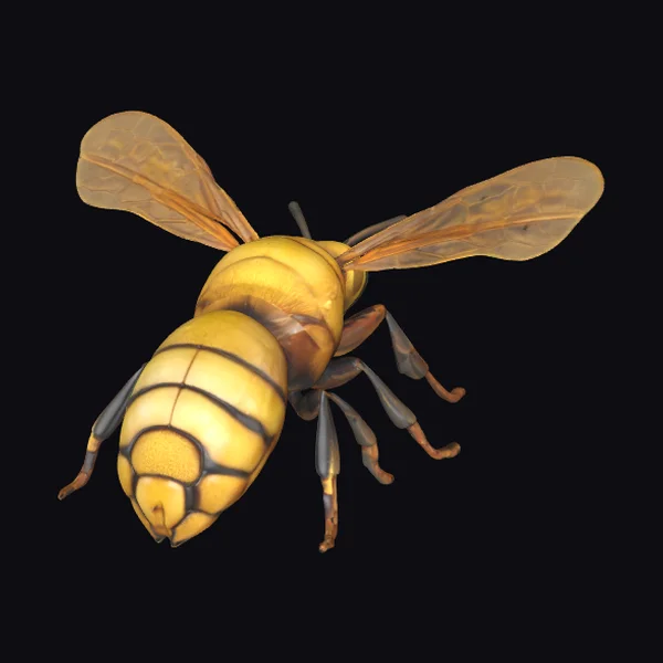 Golden Honeybee