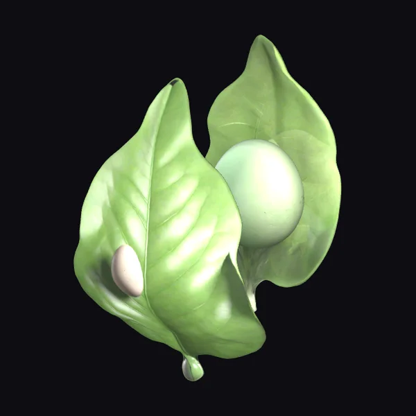 Green Leaves with Butterfly Eggs