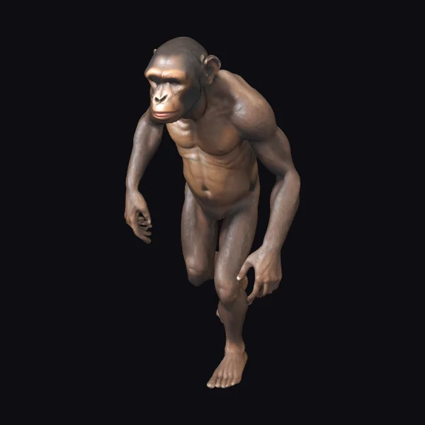 Ancient Ape-like Human