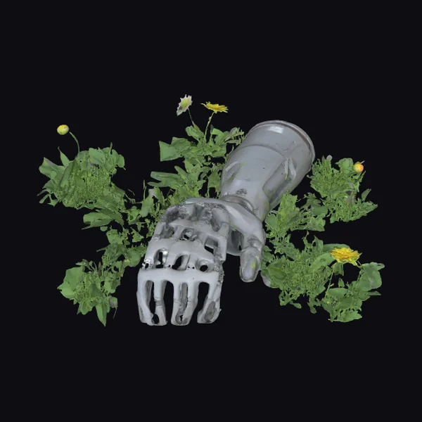 Abandoned Prosthetic Arm