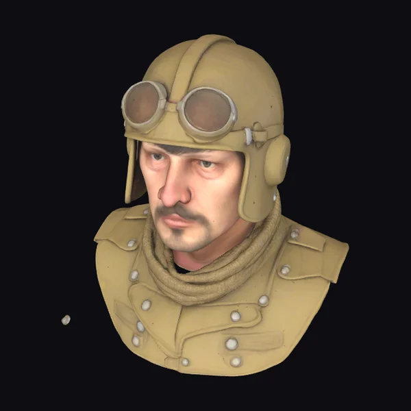 WWI Pilot Bust Portrait