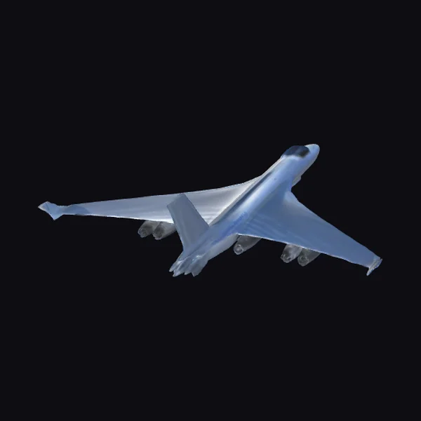 Supersonic Airliner with Winglets