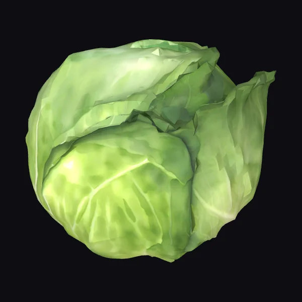 Fresh Green Cabbage