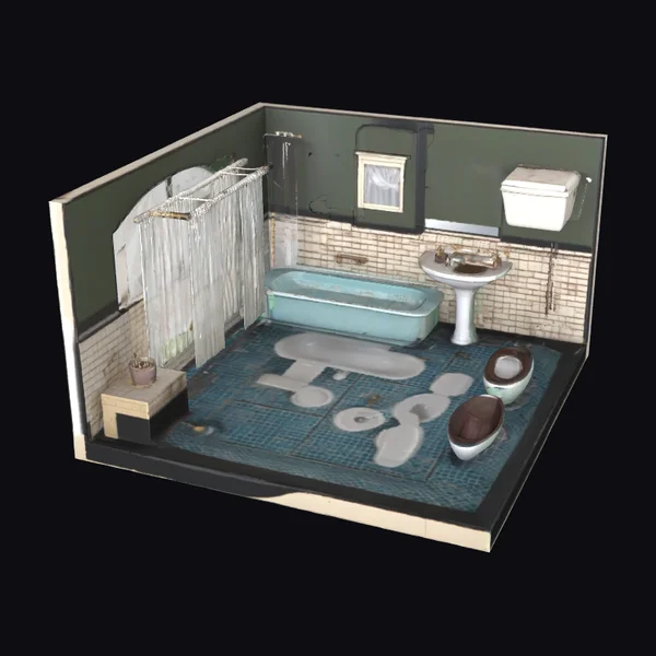 Flooded Bathroom Interior