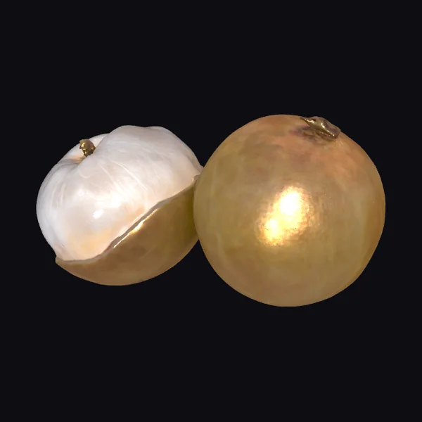 Longan Fruit Pair