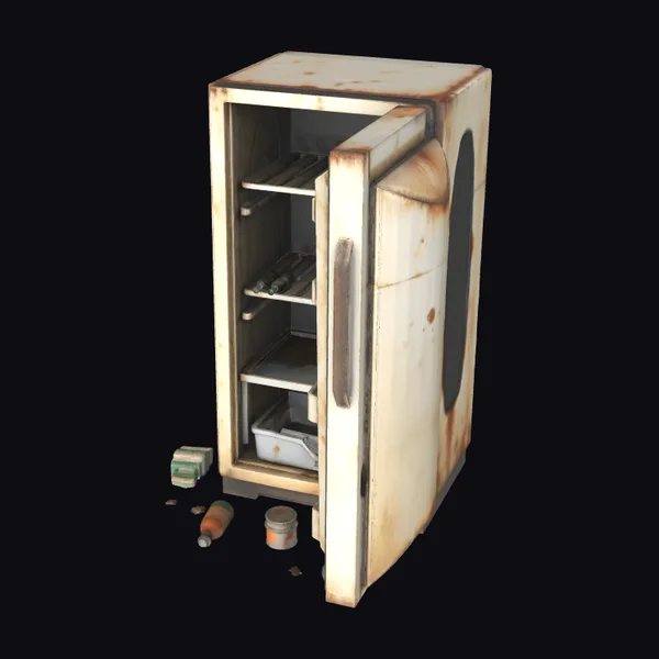 Abandoned Mini Fridge