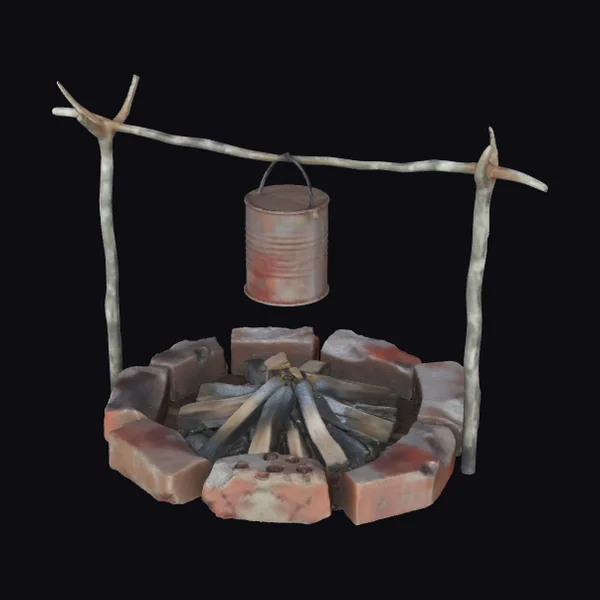 Rustic Campfire Setup