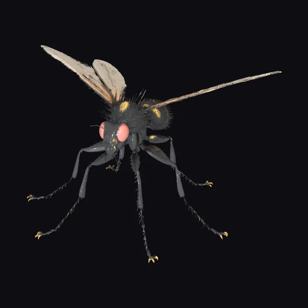 Alien Fly Insect Specimen