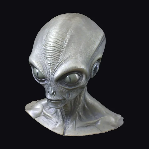 Grey Alien Bust