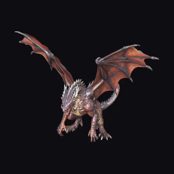 Adult Dragon in Action