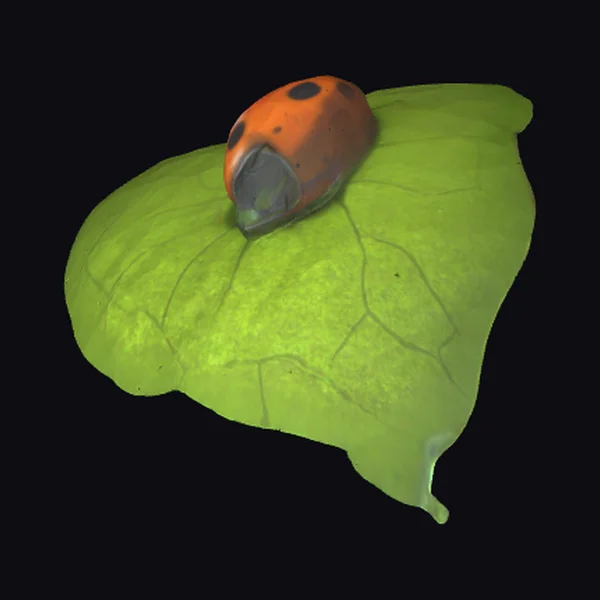 Ladybug on Green Leaf