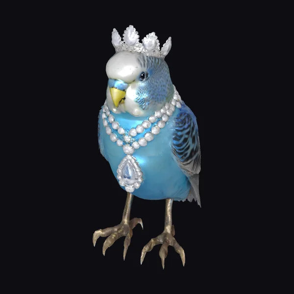 Jewelled Royal Parakeet