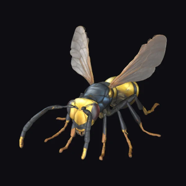 Yellow Black Wasp