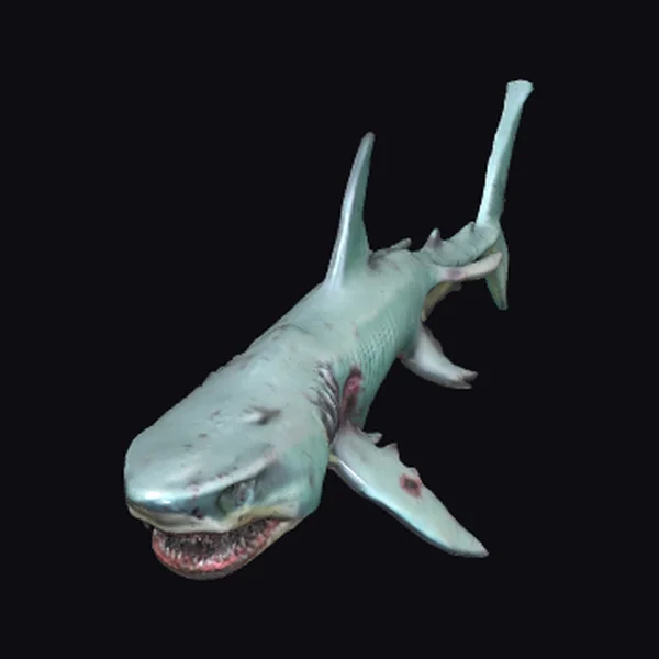 Zombie Shark