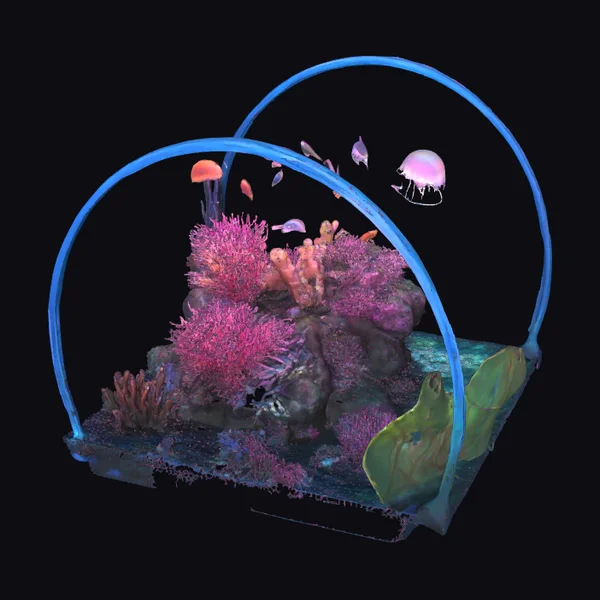 Underwater Coral Garden Dome