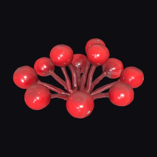 Red Berries Cluster