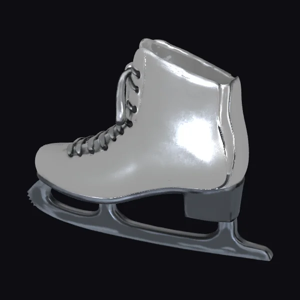 Shiny Ice Skate
