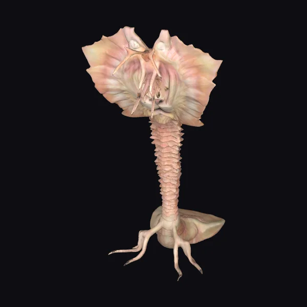 Alien Flower Creature