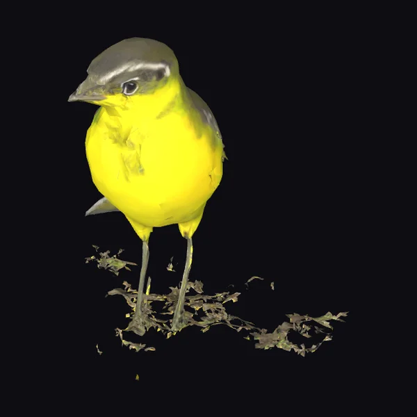 Yellow Bird with Twigs