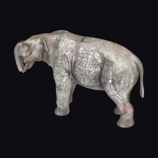 Ancient Elephant Relative