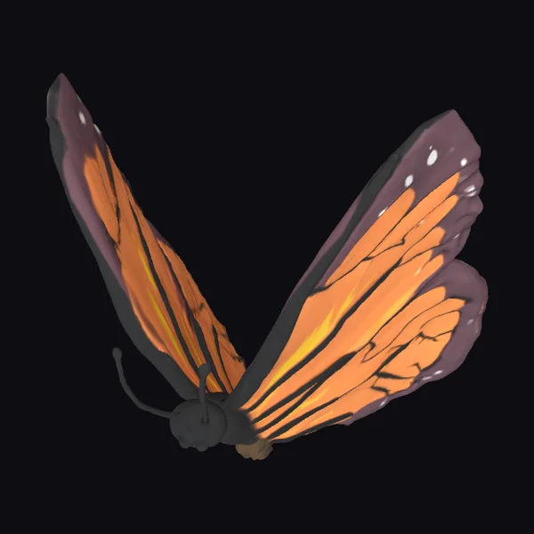 Monarch Butterfly Wing