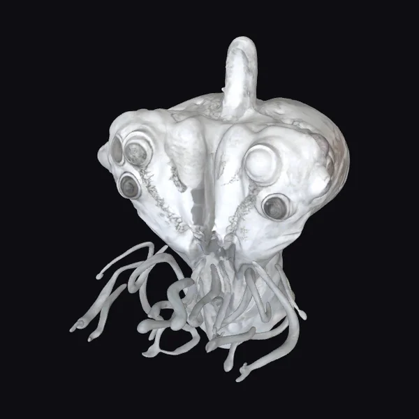 Alien Jellyfish Creature