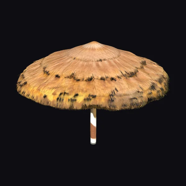 Vintage Straw Garden Umbrella