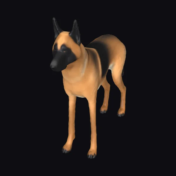 Belgian Malinois Dog