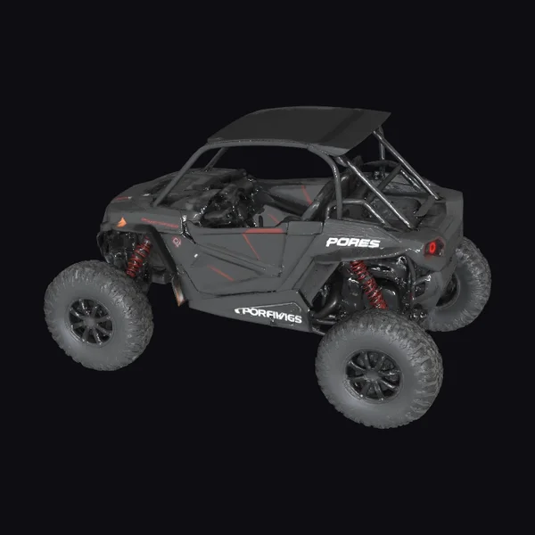 Black Polaris RZR Vehicle