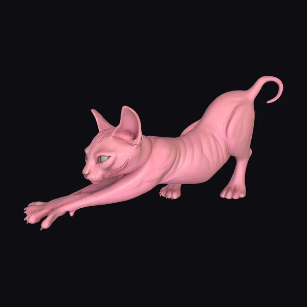 Pink Stretching Sphynx Cat