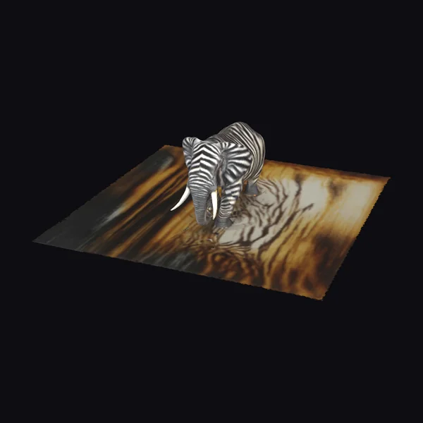 Zebra on Wooden Plank