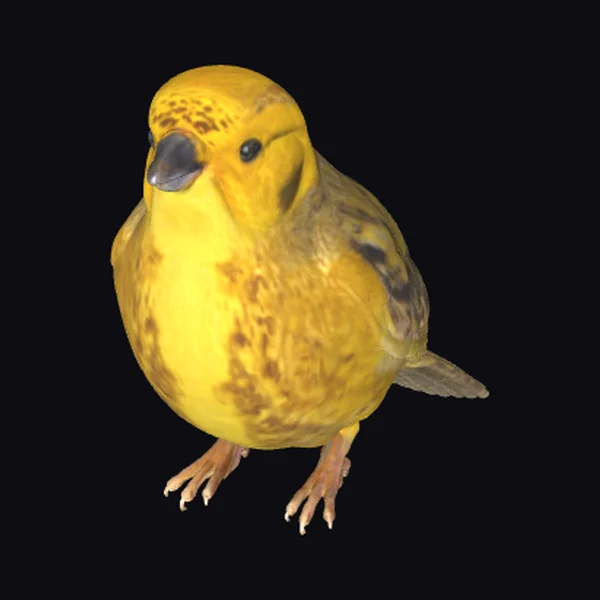 Yellow Bird Illustration