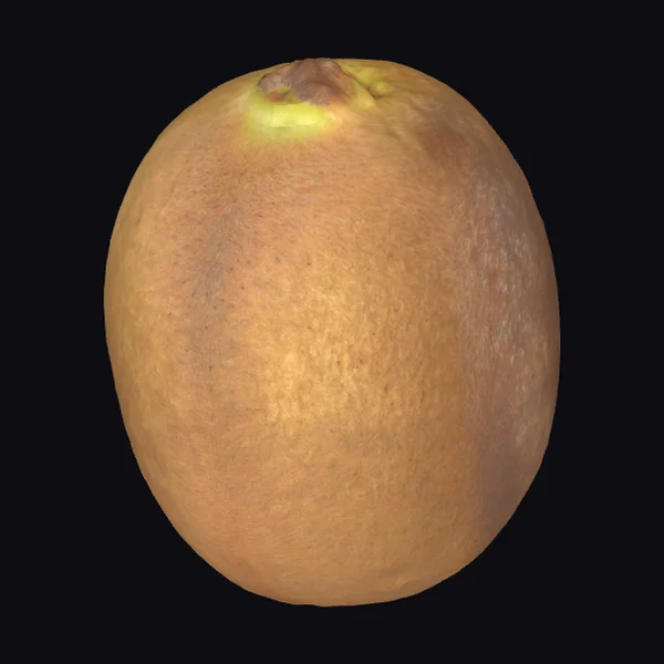 Brown Fuzzy Kiwi Fruit