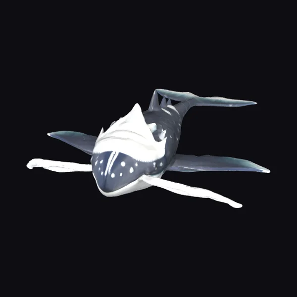 Whale Shark Creature