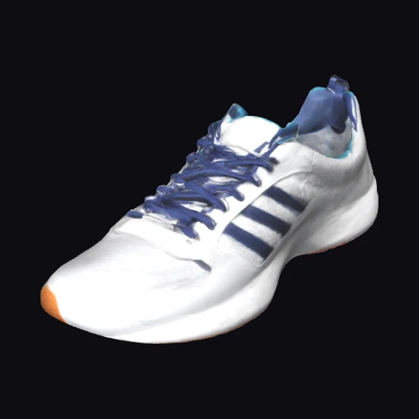 White Sports Shoe