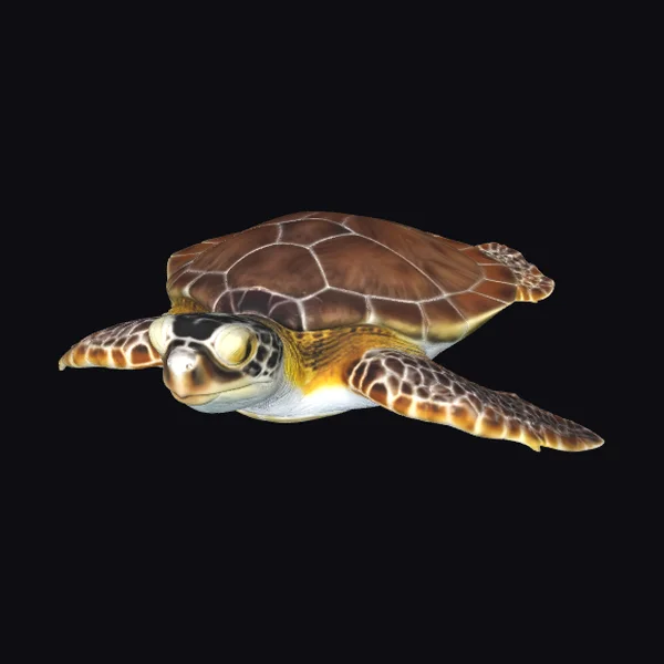 Gliding Sea Turtle