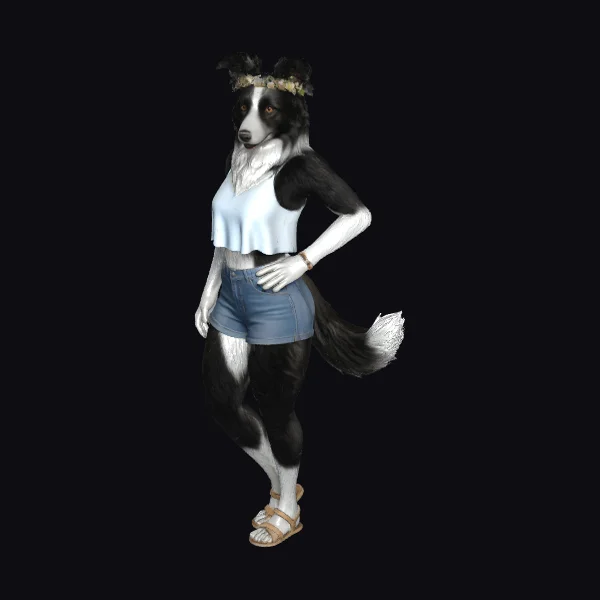 Anthropomorphic Border Collie