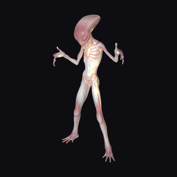 Alien Lifeform Anatomy