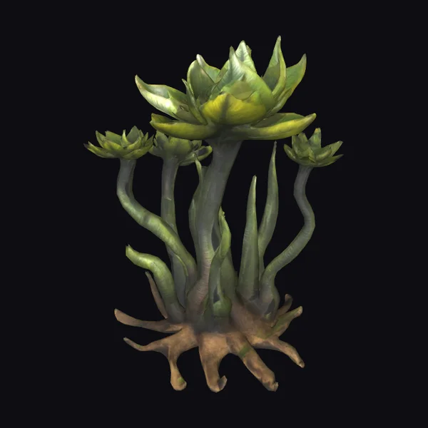 Alien Plant Specimen