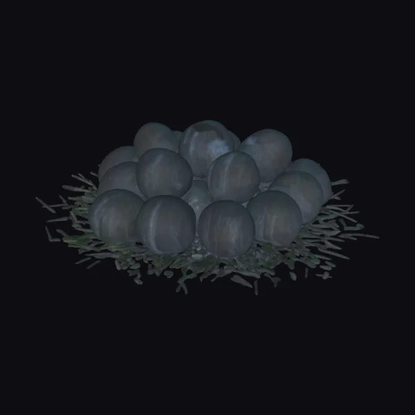Dark Reptile Eggs