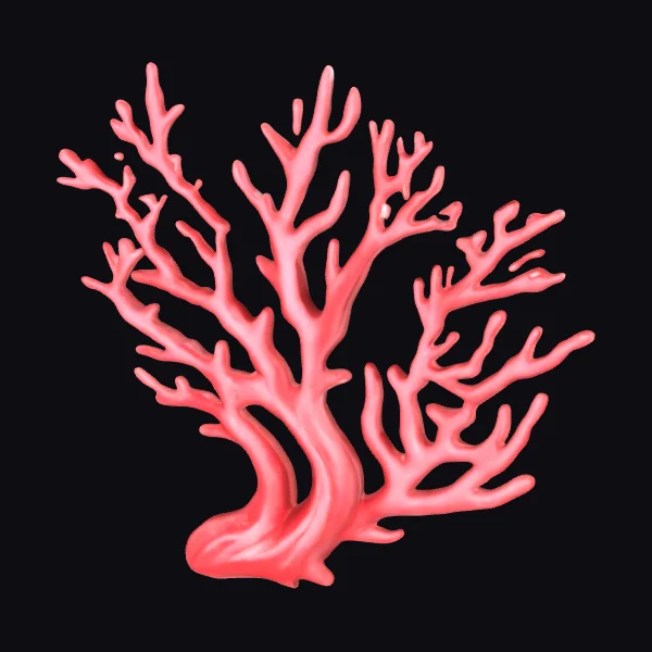 Coral Reef Branch