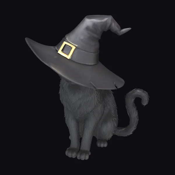 Black Cat Witch Hat