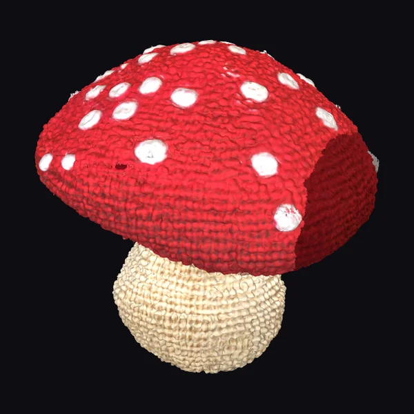 Crochet Mushroom Decoration