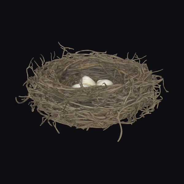 Circular Bird's Nest