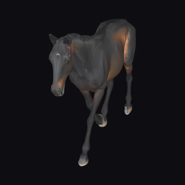 Black Horse in Motion