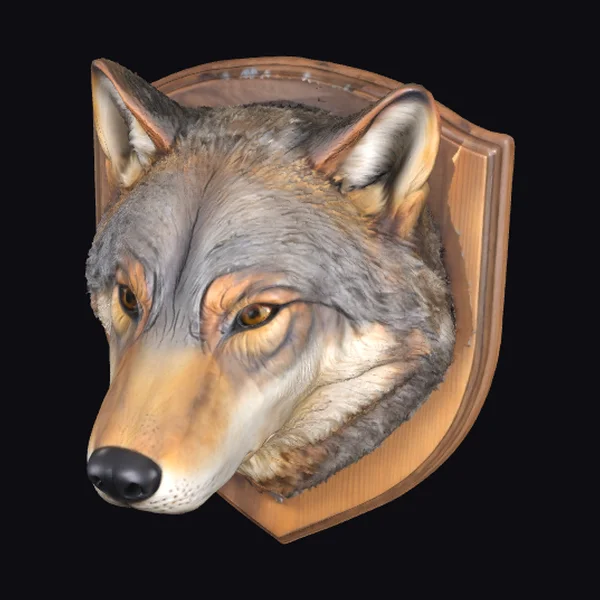 Wolf Head on Shield